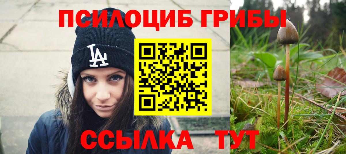 Псилоцибиновые грибы GOLDEN TEACHER  Галлюциногенные грибы Cubensis  Вход с VPN  Камень-на-Оби 