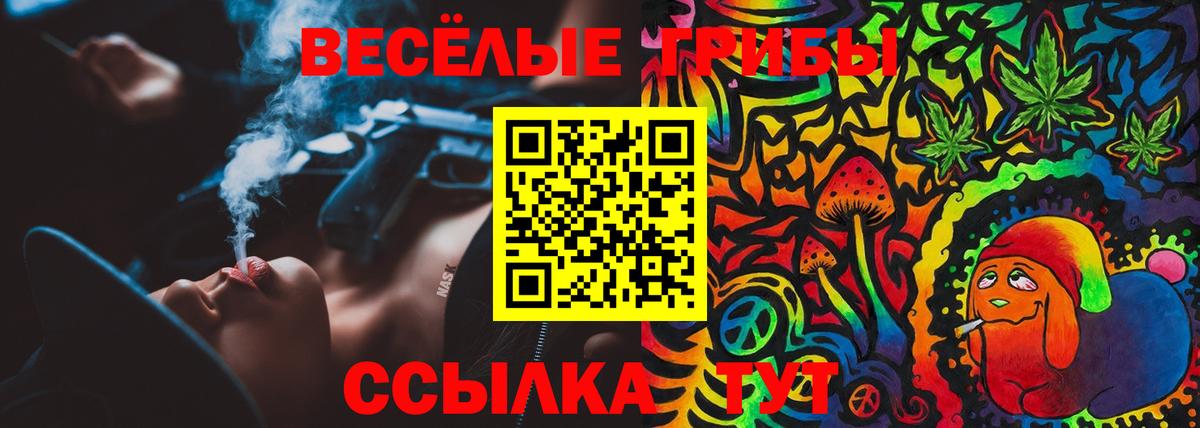Псилоцибиновые грибы Magic Shrooms Камень-на-Оби