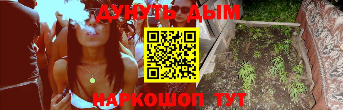 Марихуана марихуана  МАРИХУАНА план  Камень-на-Оби  Бошки Шишки White Widow  Вход с VPN 